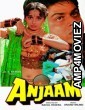 Anjaam (1994) Hindi Full Movie