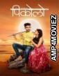 Piccolo (2023) Marathi Full Movie