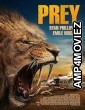 Prey (2024) HQ Tamil Dubbed Movie