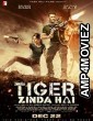 Tiger Zinda Hai (2017) Bollywood Hindi Full Movie