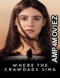 Where The Crawdads Sing (2022) ORG Hindi Dubbed Movie