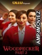 Woodpecker Part 2 (2020) UNRATED Hindi Season 1 Complete Show