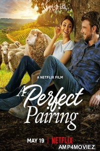 A Perfect Pairing (2022) Hindi Dubbed Movies