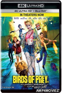 Birds of Prey (2020) Hindi Dubbed Movies