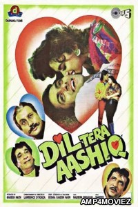 Dil Tera Aashiq (1993) Hindi Full Movies