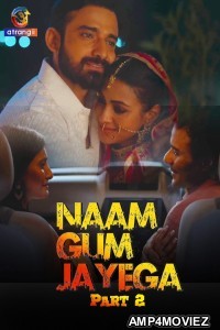 Naam Gum Jayega (2024) Part 2 Atrangii Hindi Web Series